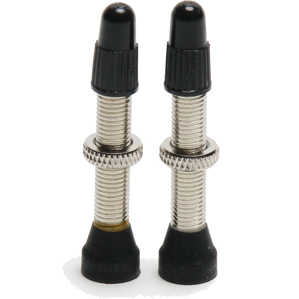 Tubeless kit valve